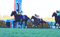 �ߋ��̌X��