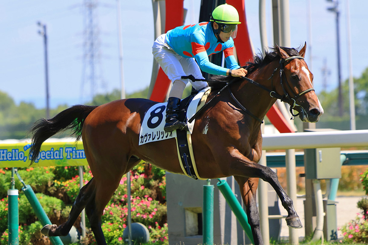 カヴァレリッツォ