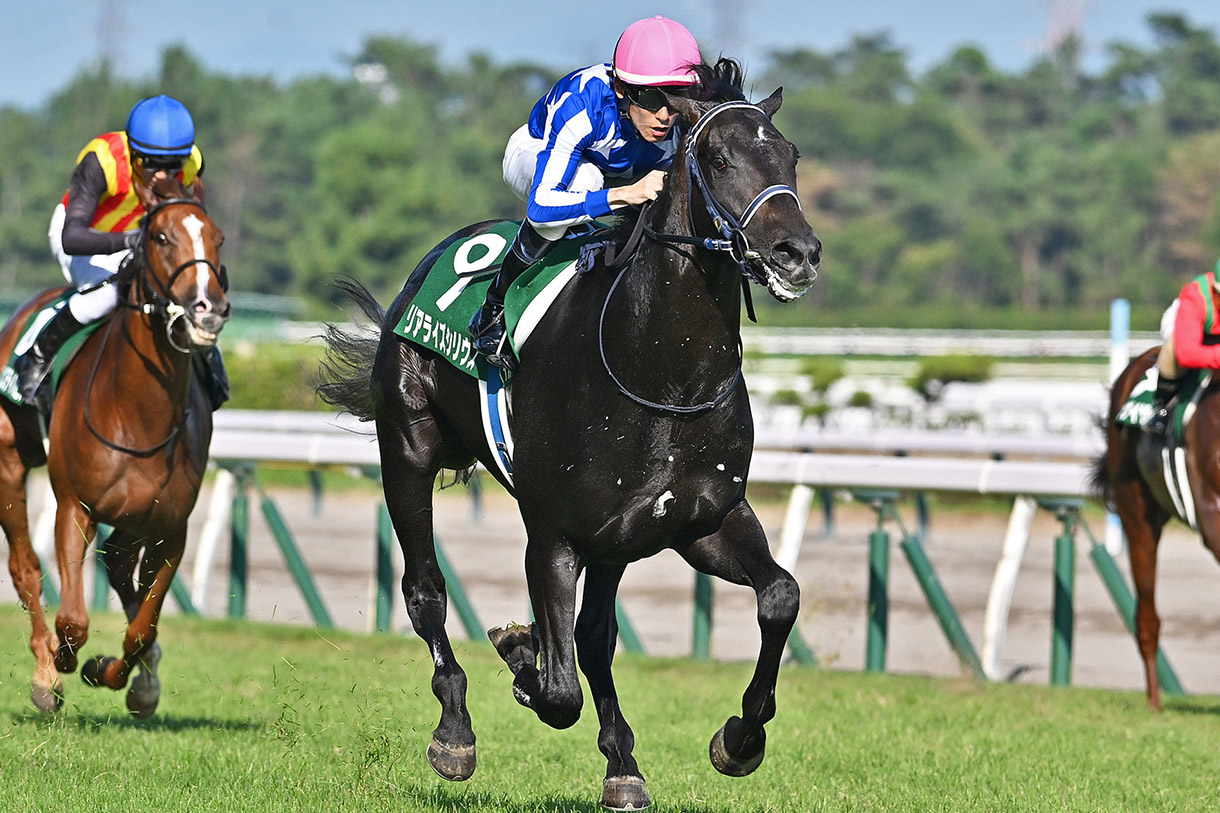 リアライズシリウス