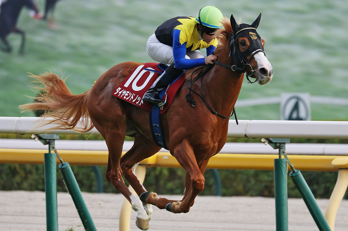 ダイヤモンドノット