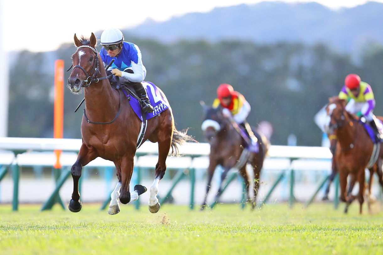 �ߋ��̌X��