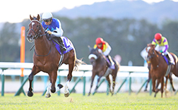 �ߋ��̌X��