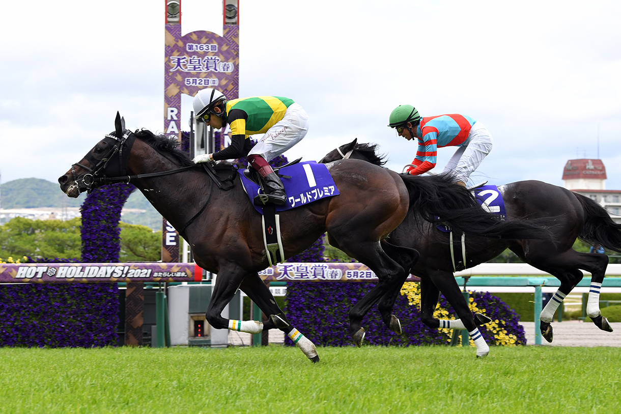 JRA 競走馬ピンバッジ コレクション 90頭【すべて G1馬】レアな物多数