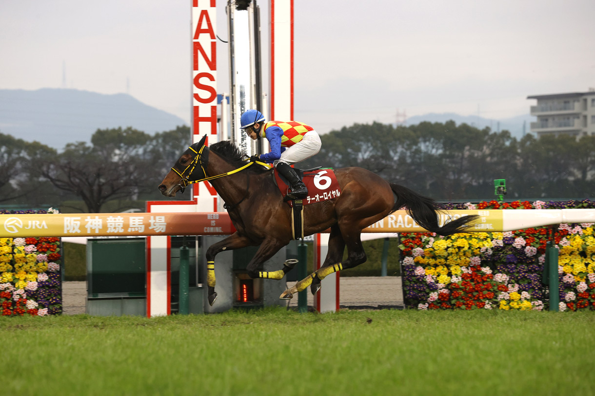 テーオーロイヤル