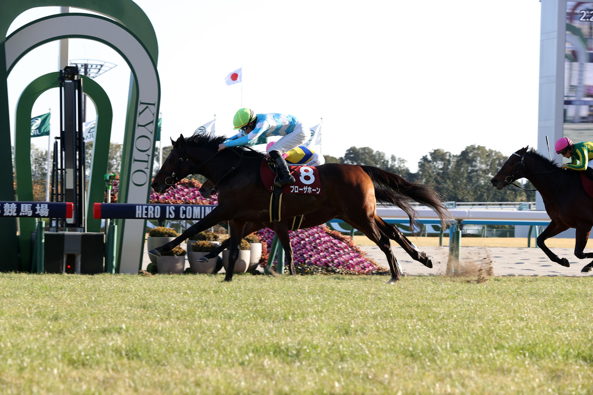 ブローザホーン