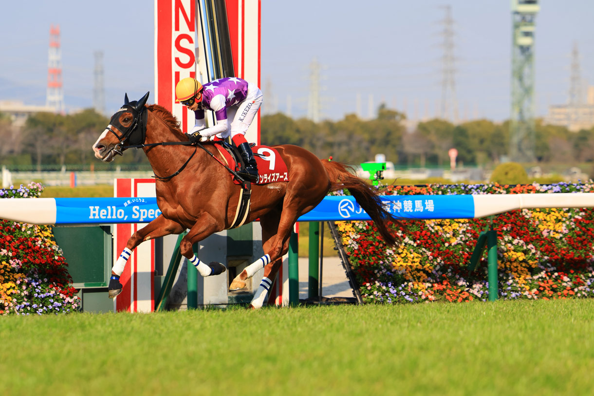 �T�����C�Y�A�[�X