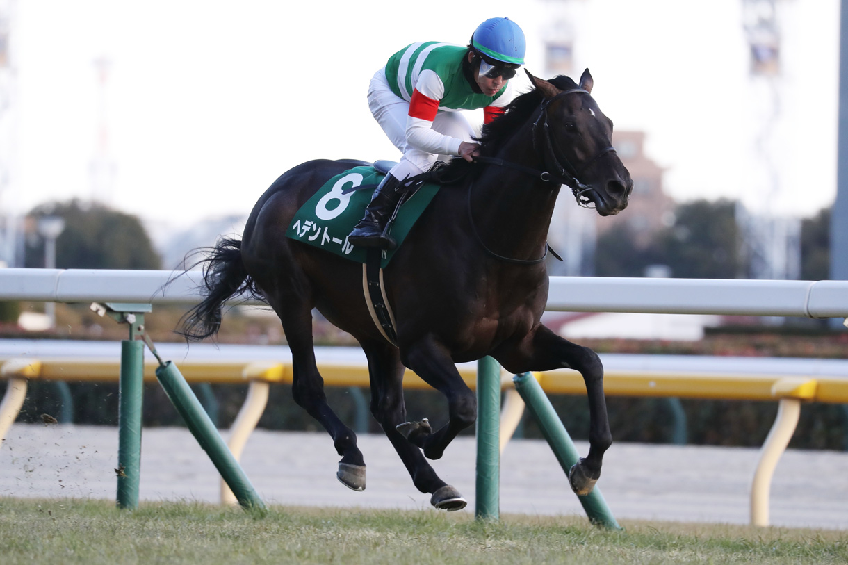 �w�f���g�[��