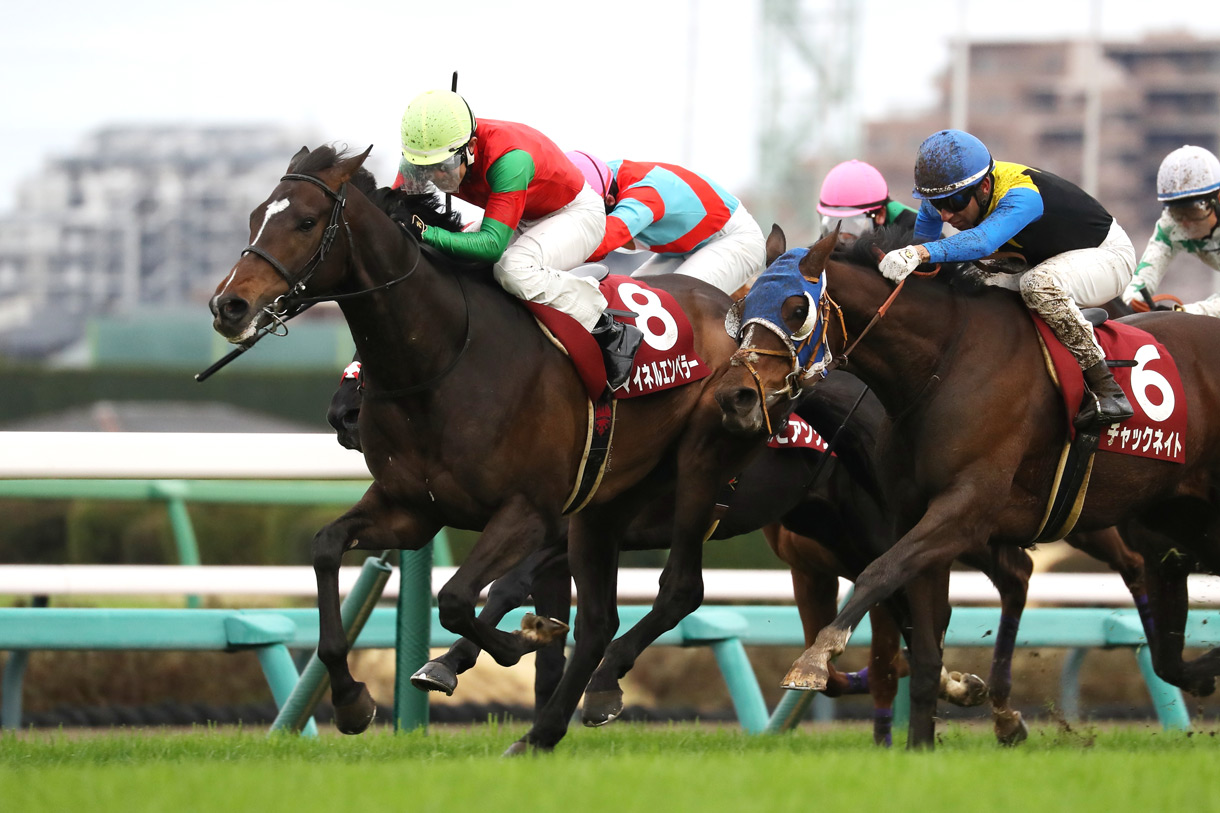 �}�C�l���G���y���[