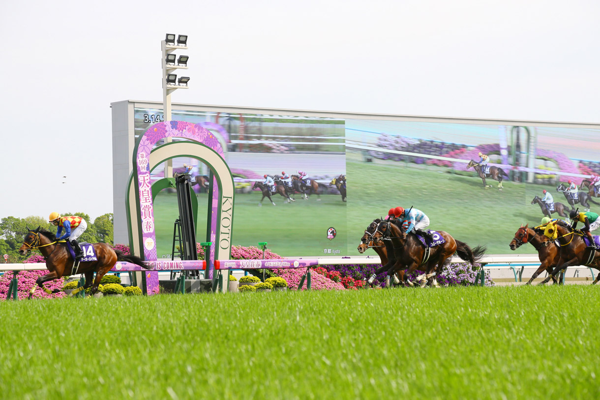 �ߋ��̌X��