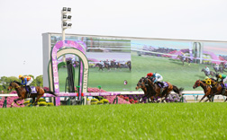 �ߋ��̌X��