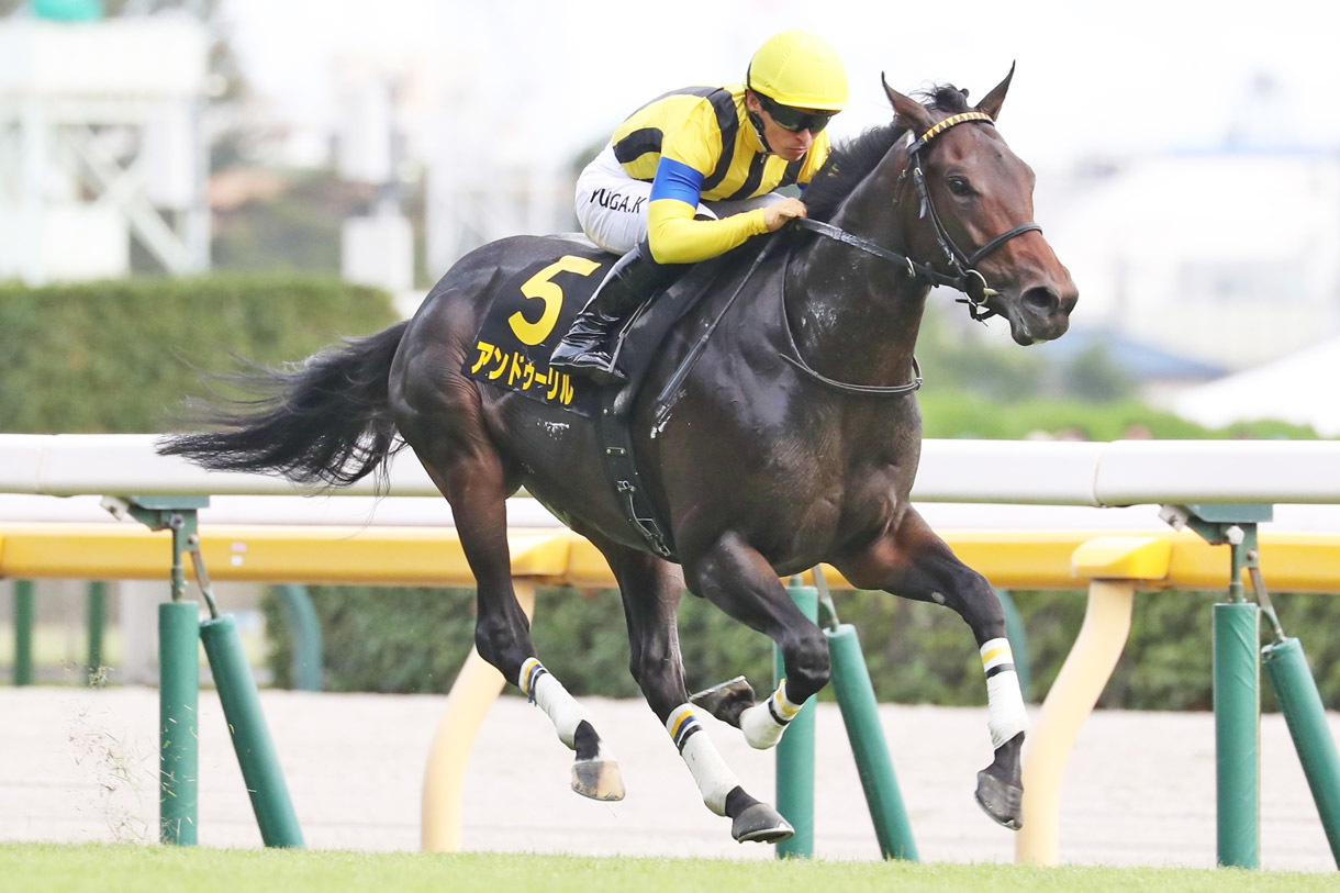 �A���h�D�[����