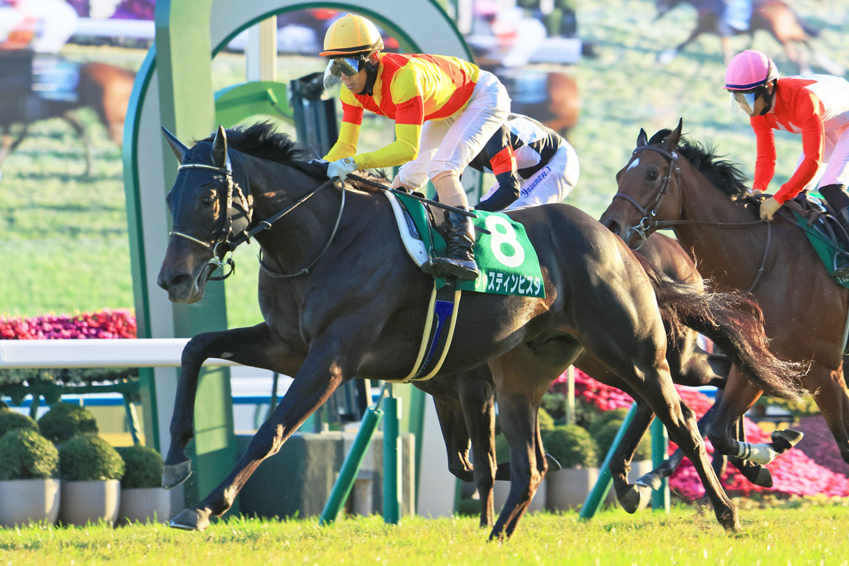 �W���X�e�B���r�X�^