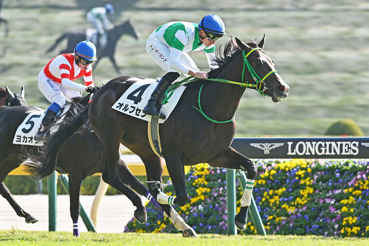 �I���t�Z��