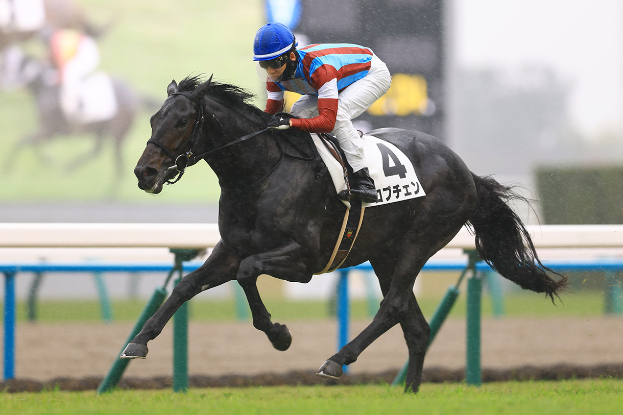 ���u�`�F��