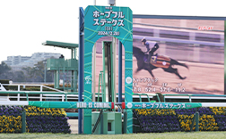 ���[�X���