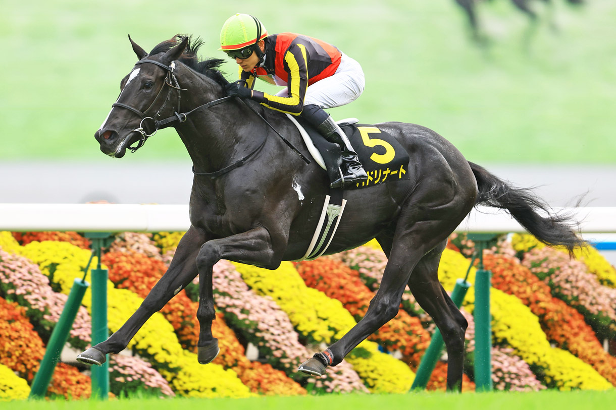 �o�h���i�[�g