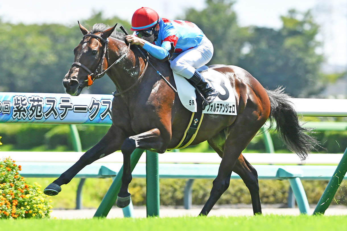 �t�H���e�A���W�F��