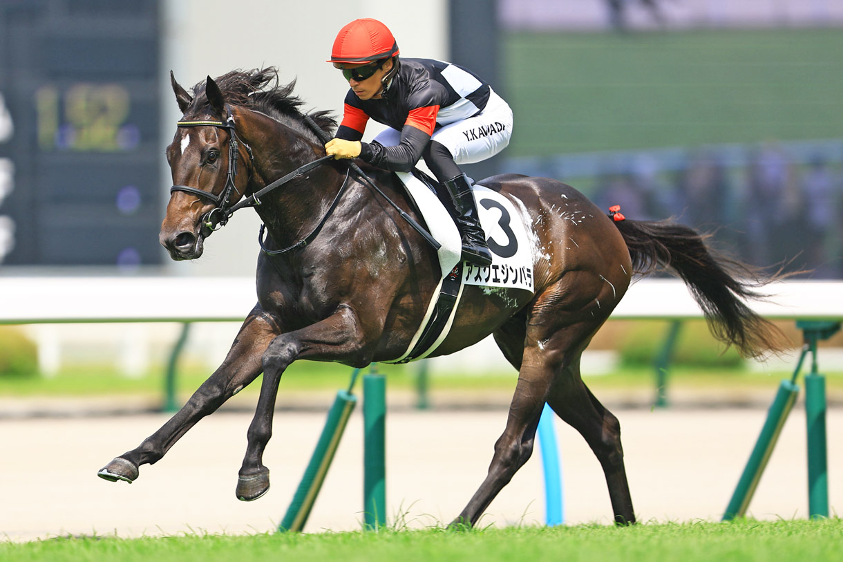 �A�X�N�G�W���o��