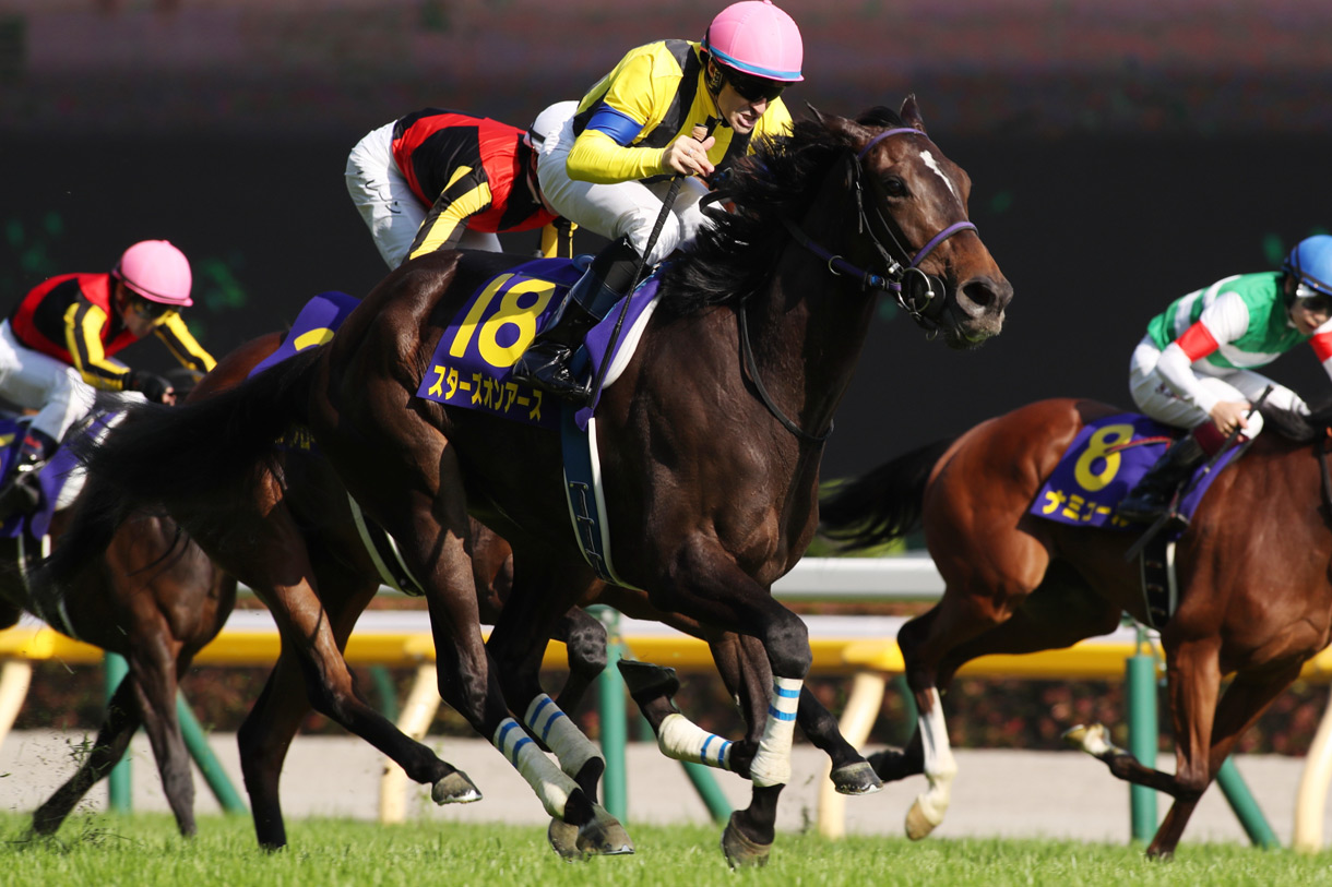 スターズオンアース