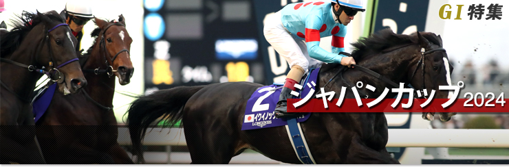 G1���W �W���p���J�b�v2024