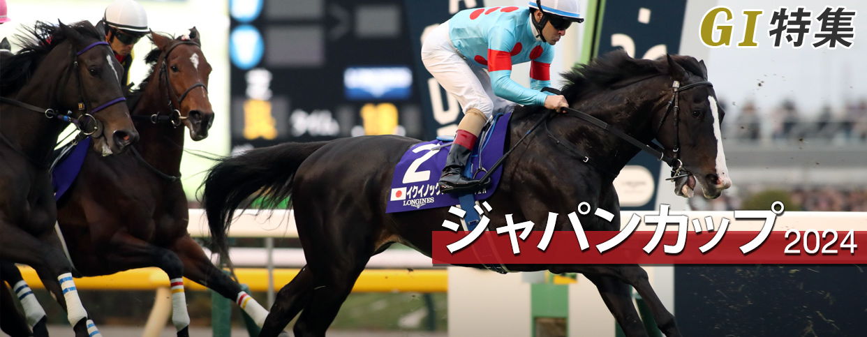 G1���W �W���p���J�b�v2024