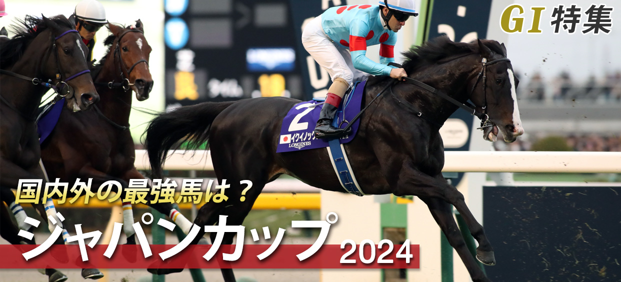 G1特集 ジャパンカップ2024