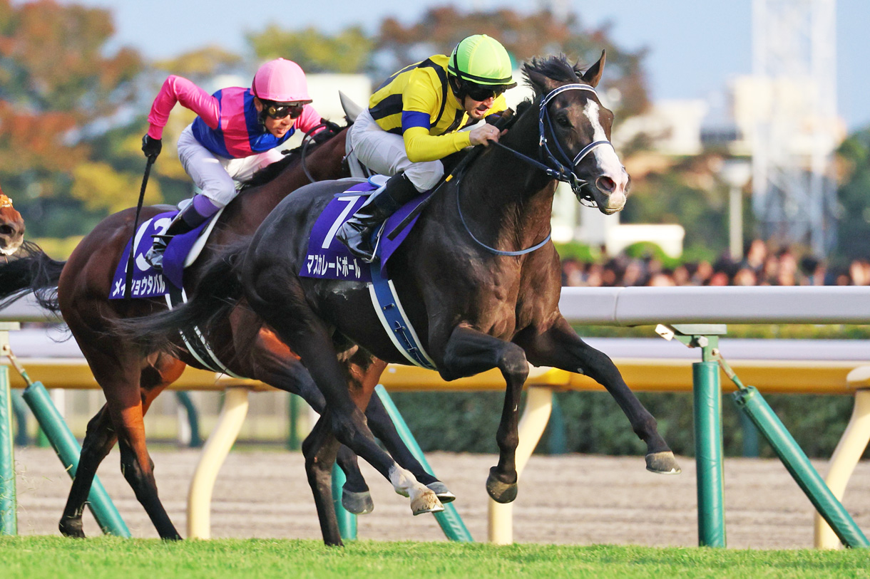 �}�X�J���[�h�{�[��