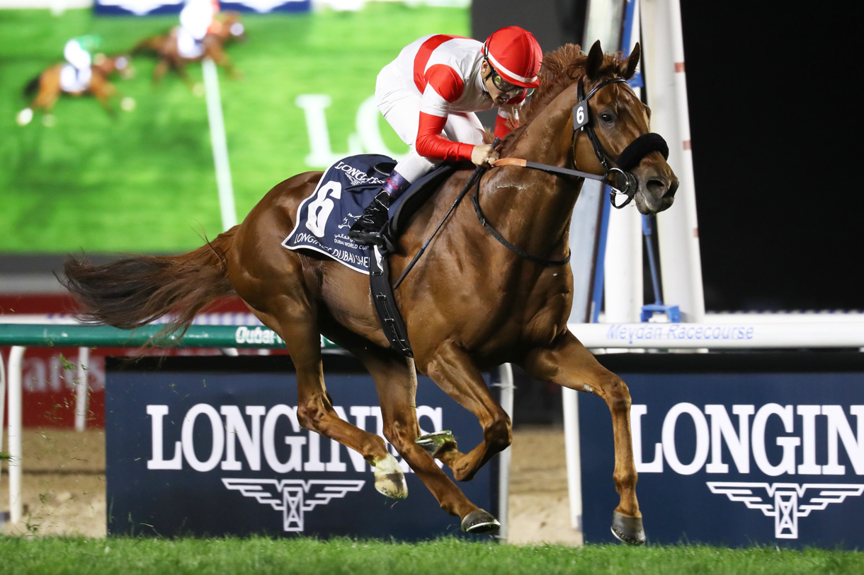 �_�m���f�T�C��