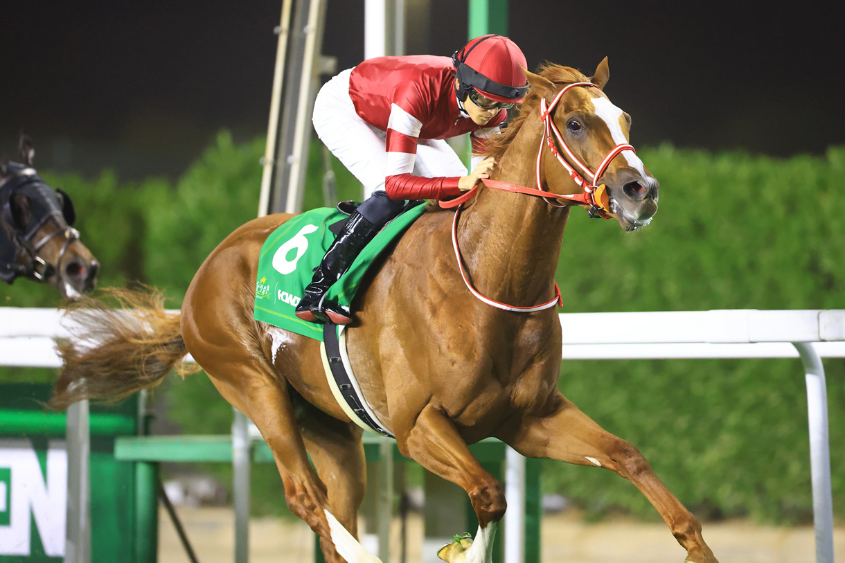 �V���G���y���[