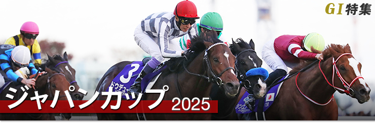 G1���W �W���p���J�b�v2025