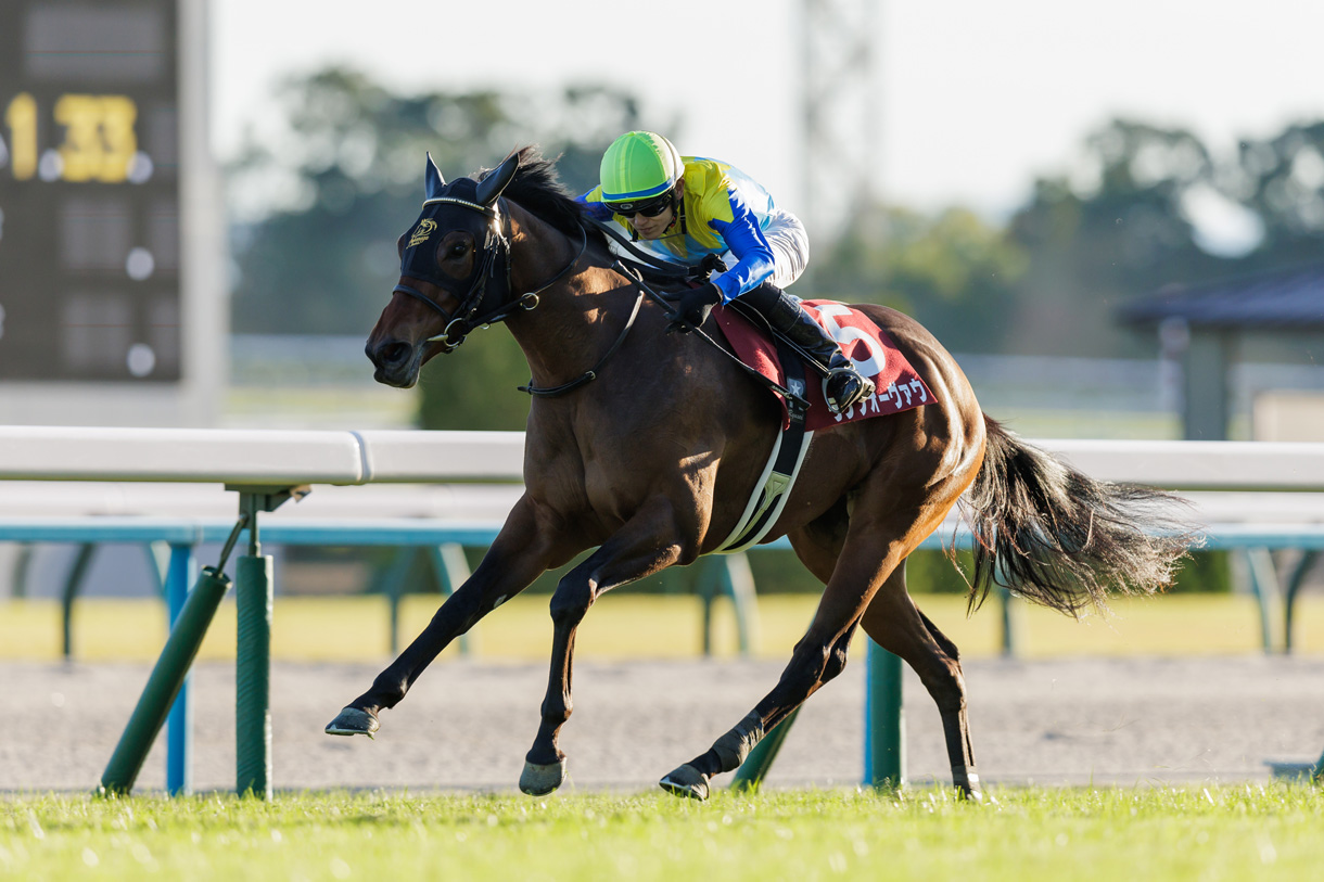 ランフォーヴァウ