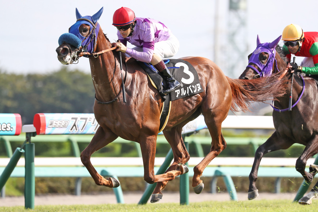 �A���o���k