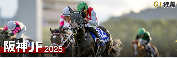 G1���W ��_�W���x�i�C���t�B���[�Y2025