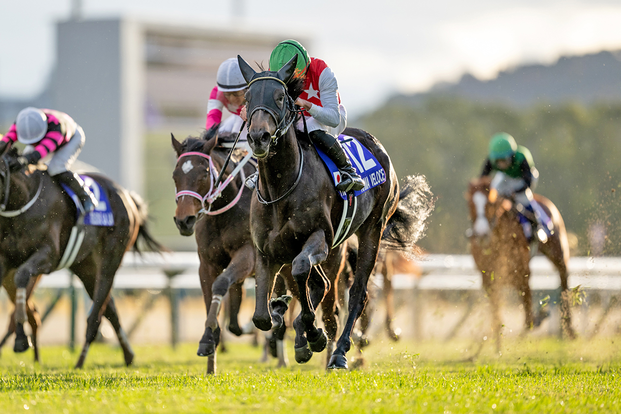 �ߋ��̌X��