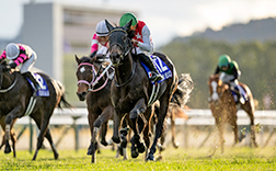 �ߋ��̌X��