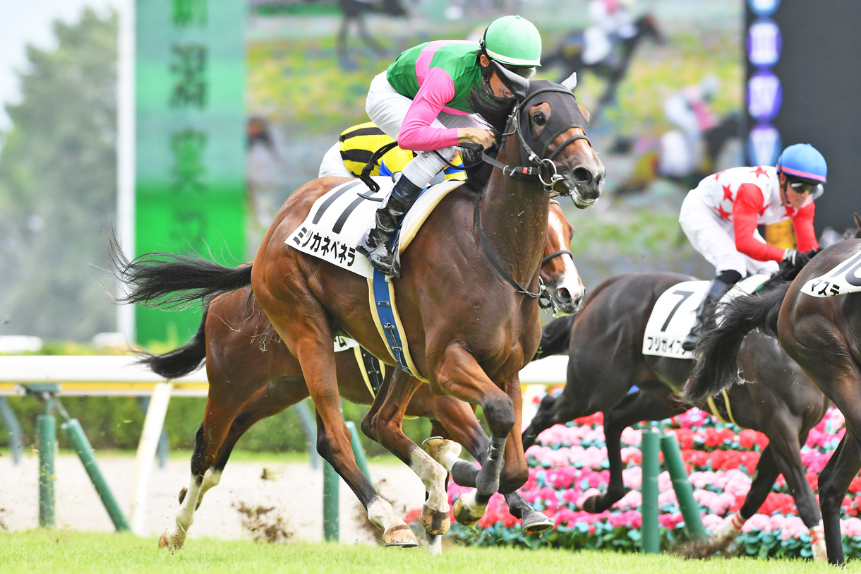 ミツカネベネラ