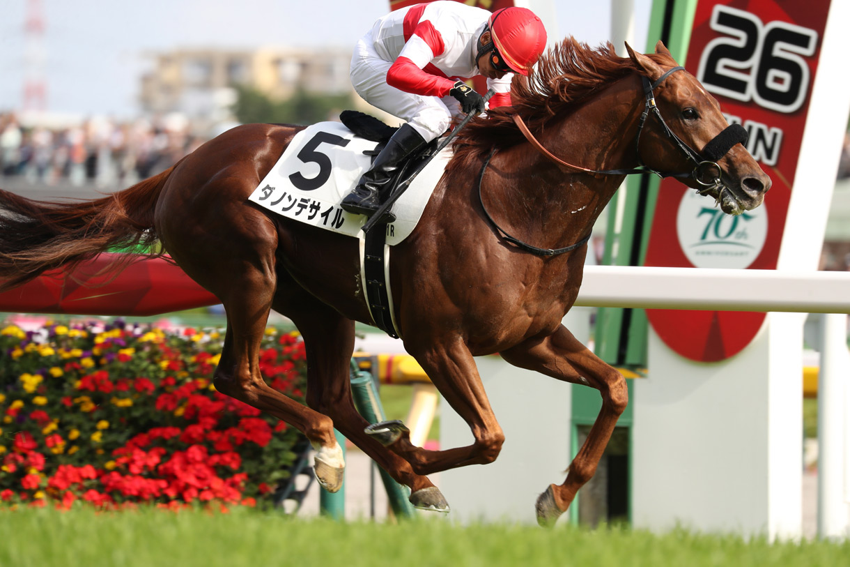 ダノンデサイル