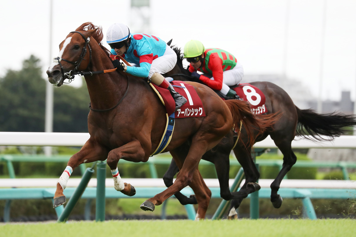 アーバンシック