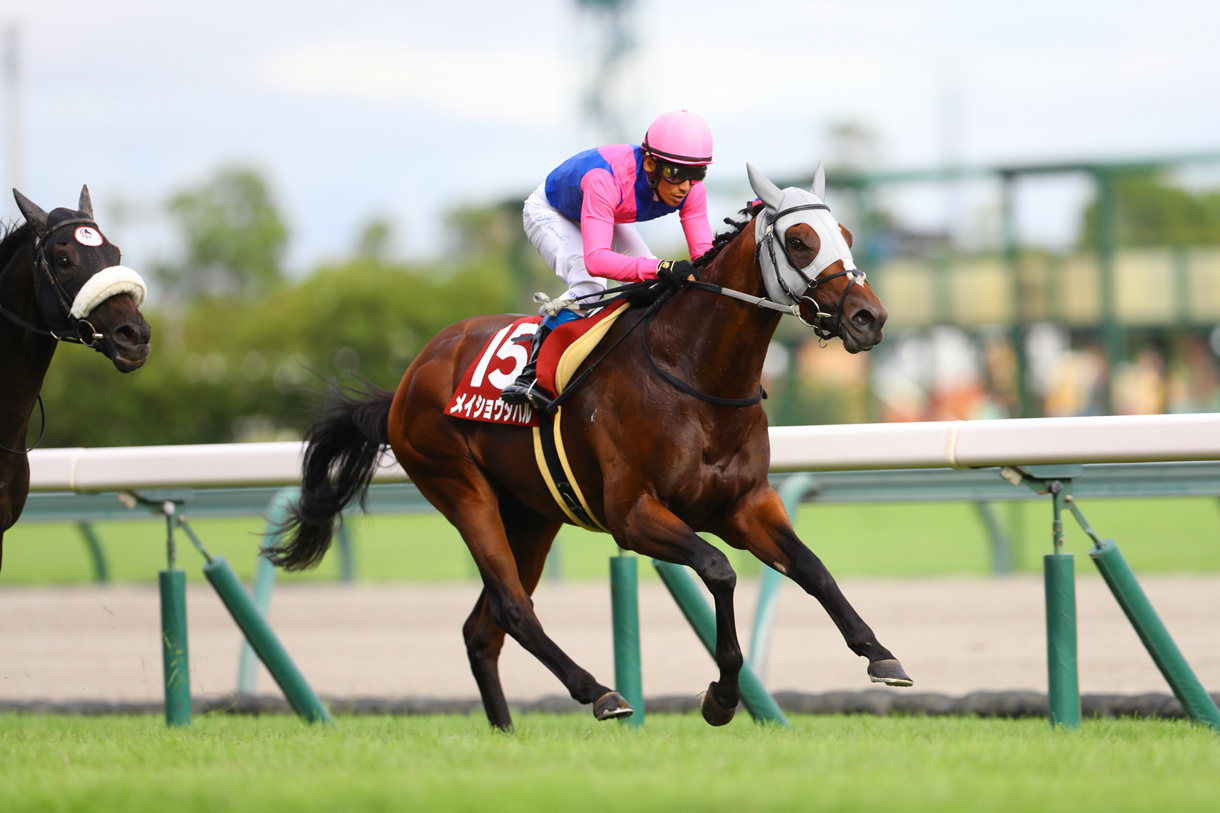 メイショウタバル