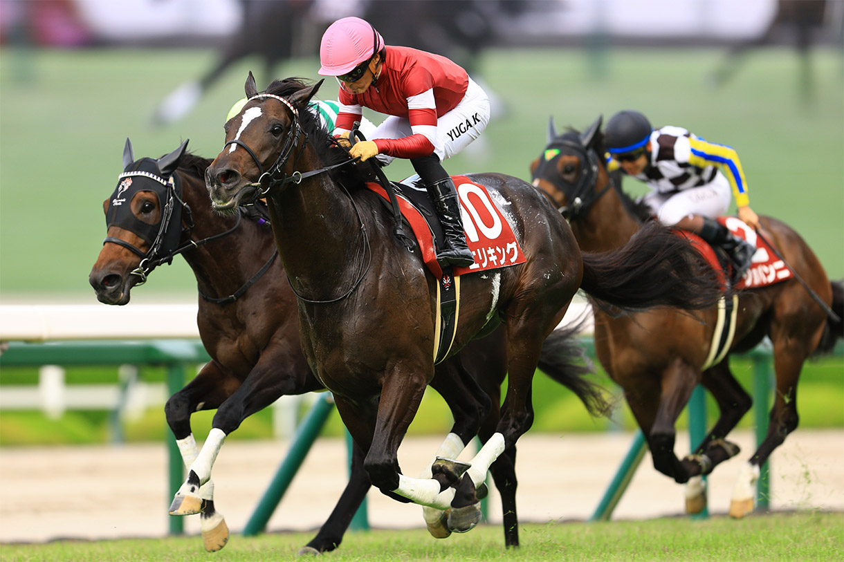 �G���L���O