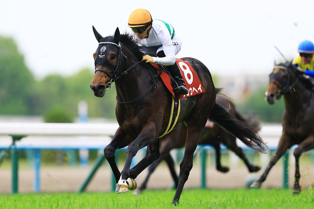 �V���E�w�C