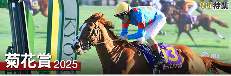G1特集 菊花賞2025