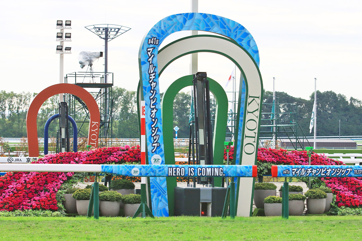レース情報