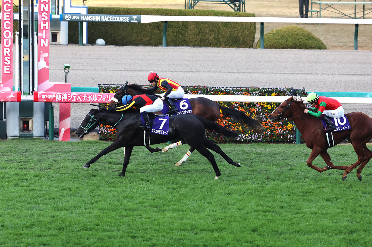 アスコリピチェーノ