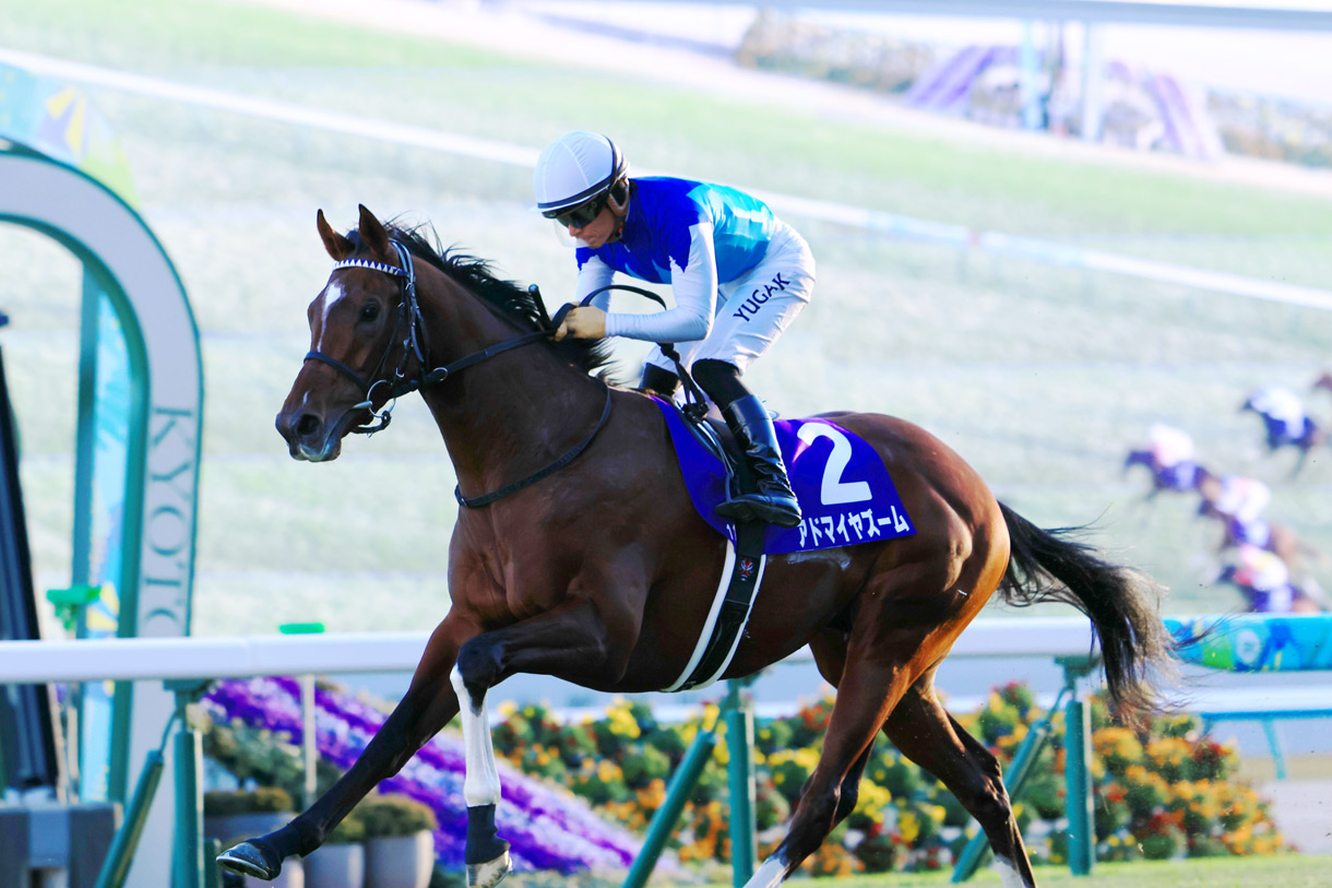 アドマイヤズーム