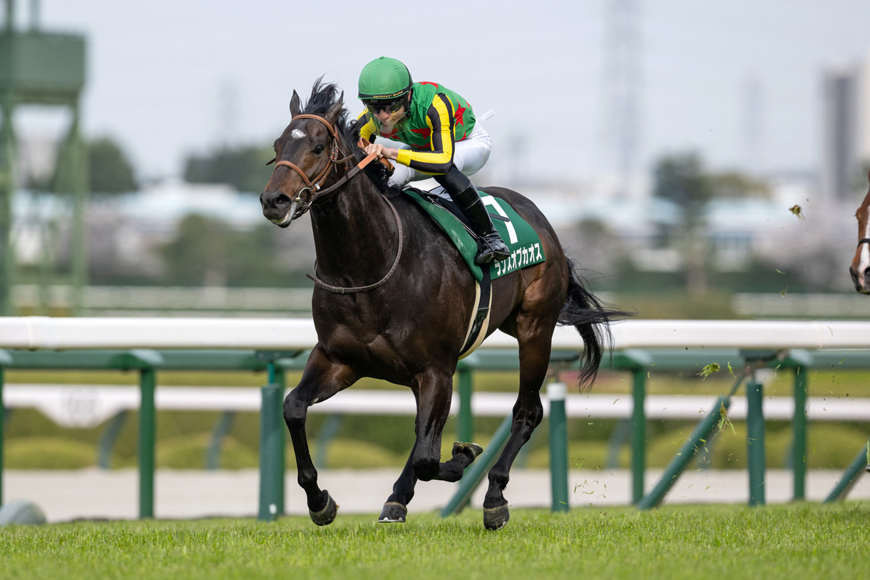 ランスオブカオス