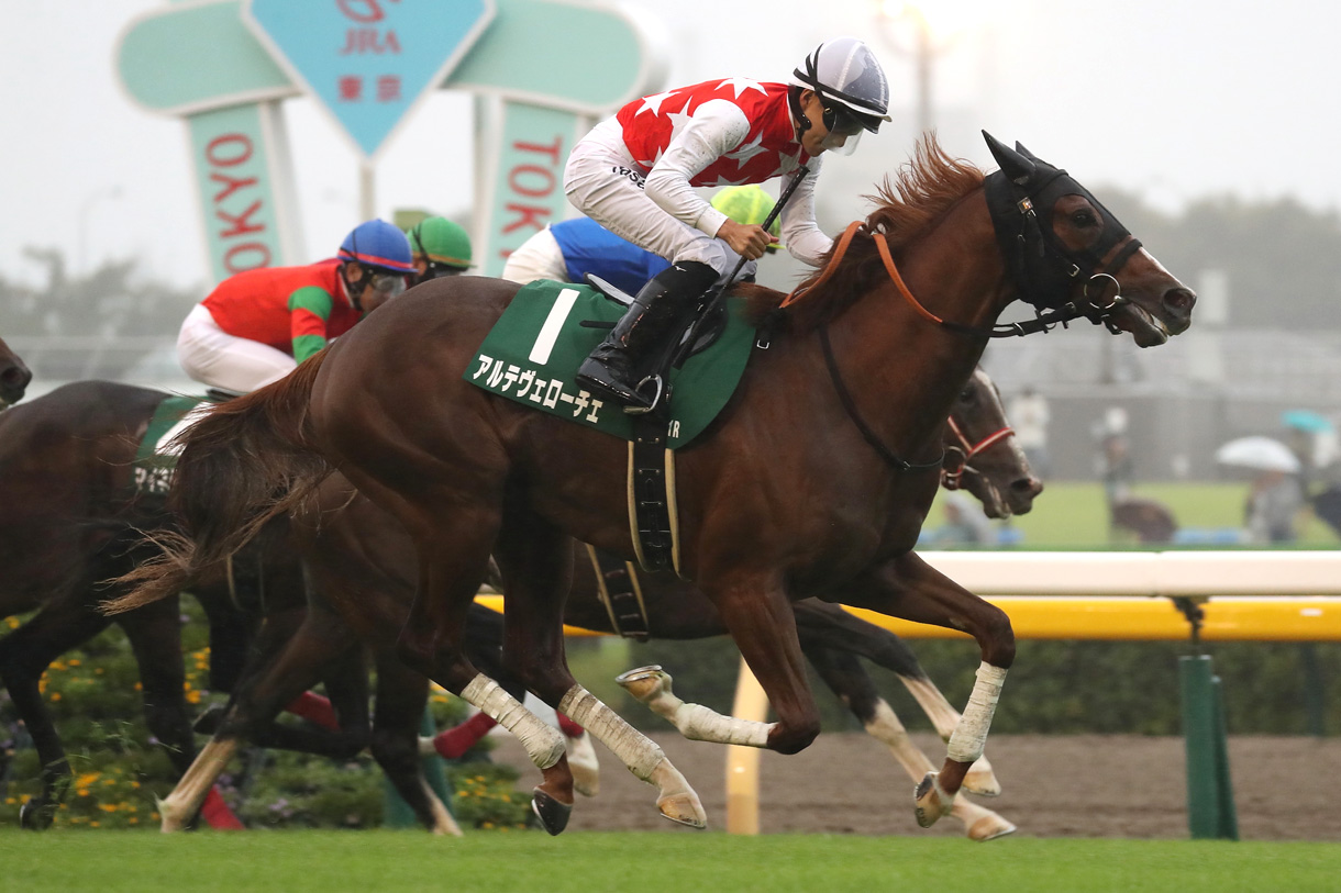 アルテヴェローチェ