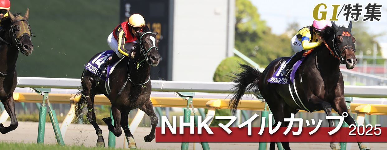 G1���W NHK�}�C���J�b�v2025