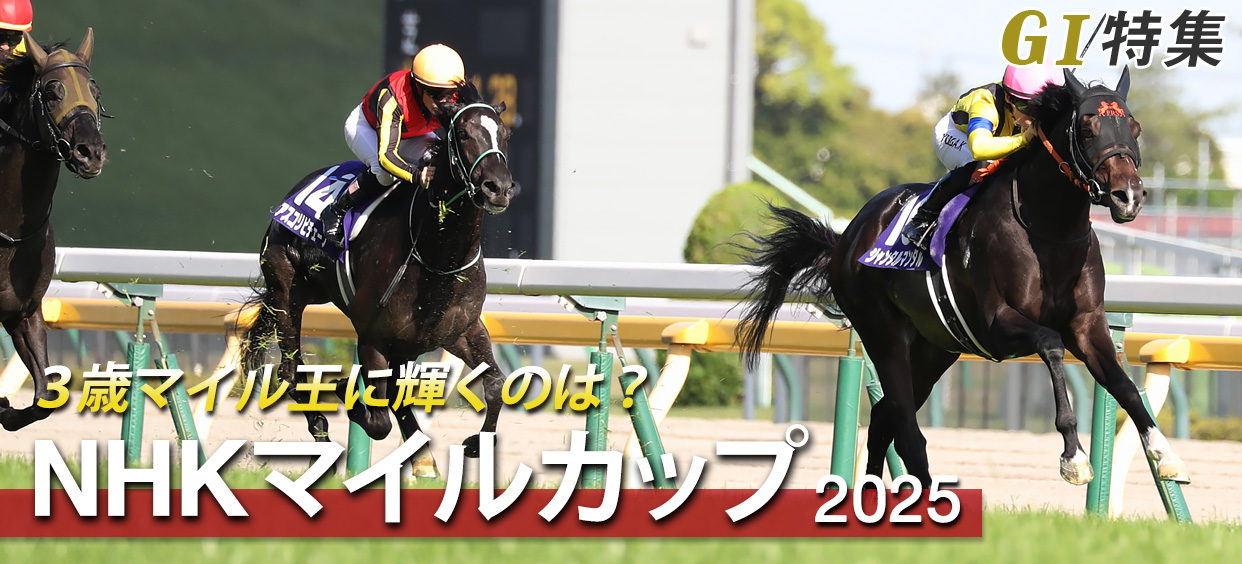 G1特集 NHKマイルカップ2025