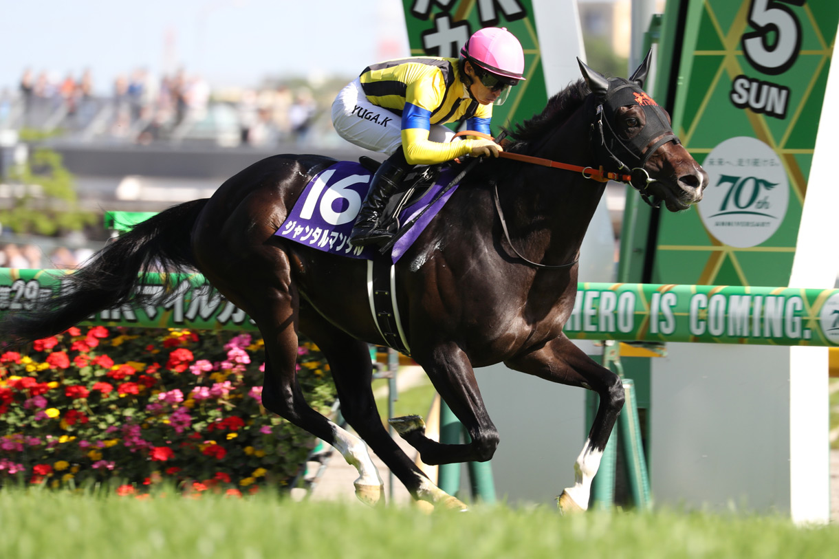 �ߋ��̌X��